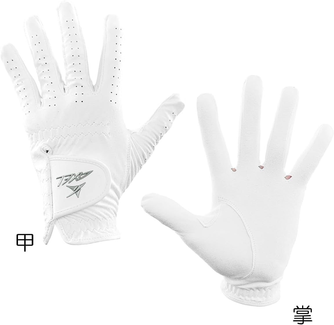 AXEL AXGL-24251 ALL-NANO Glove – Kizuna Sports LLP